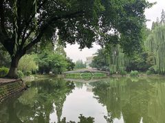 -西南交通大学(九里校区)