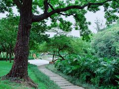 -云溪植物园