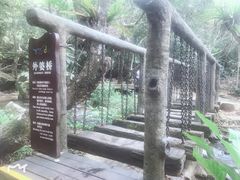 -呀诺达热带雨林