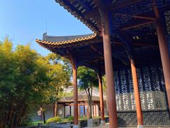 -顺峰山公园