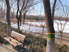 -大兴滨河森林公园