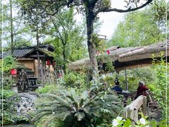 -青城甲(青城山店)