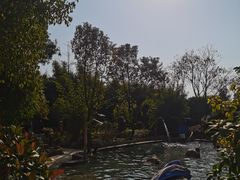 -山湖温泉