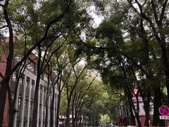 -四川大学(望江校区)