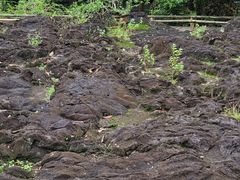 -海口火山口国家地质公园