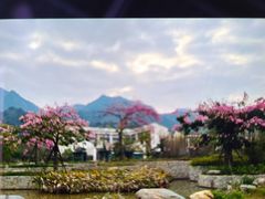 -南丹山森林王国