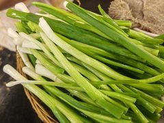 小葱-酒友老火锅(渝中店)