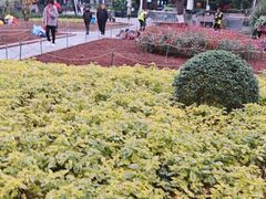 -观音桥步行街