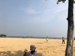 -瑶湖郊野森林公园