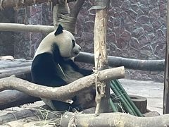 -黔灵山公园