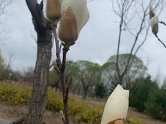 -东郊湿地公园