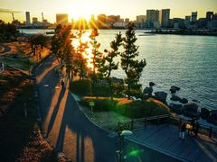 -台场海滨公园船码头