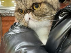 -酷狗靓猫宠物·洗护·美容·寄养(航北路店)