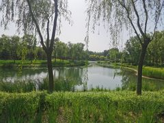 -东郊湿地公园