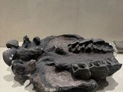 -安徽省地质博物馆