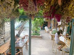 -喵屿·大理花园猫咖