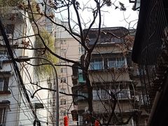 -全家福米线