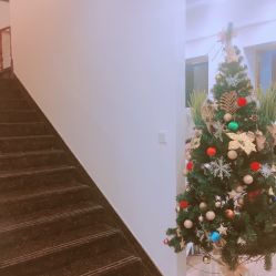-YESIDO椰岛造型烫发染发