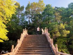 -深圳仙湖植物园
