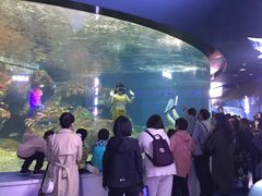 -沙沙哗啦海洋馆(华宇百花谷店)