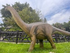 -自贡恐龙博物馆