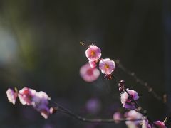 -颐和园