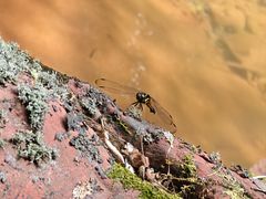 -赤水丹霞旅游区·佛光岩