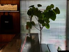 -MEDISN·药厂