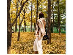 -森林公园(尖草坪区)