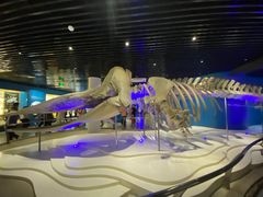 -青岛海底世界-水族馆