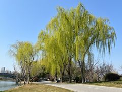 -尚贤河湿地