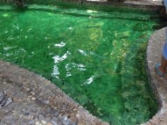 iphone_upload_pic-金方森林温泉