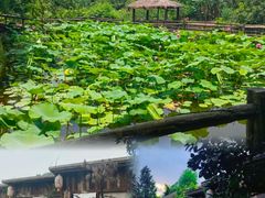 -驿舍·民國老营房院子私房菜(科学会堂店)