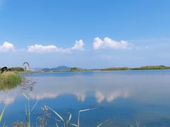 -苏州太湖湖滨国家湿地公园