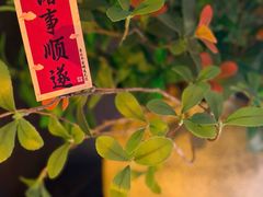 -杭州西湖湖滨银泰亚朵酒店