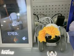 -TOYSRUS玩具反斗城(正大广场店)