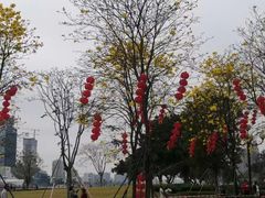 -洲头咀公园