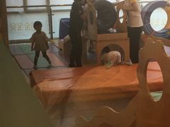 -金宝贝早教(富力广场中心)