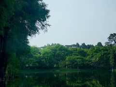 -东莞植物园