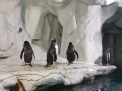 -南昌海洋公园