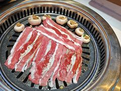 -杨记齐齐哈尔烤肉(总店)