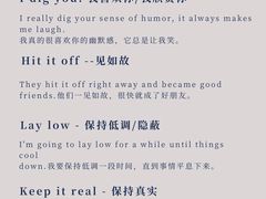 -引领英语·成人口语·雅思托福