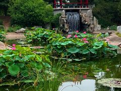 -国家植物园南园