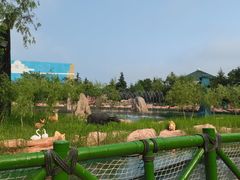 -青岛方特梦幻王国