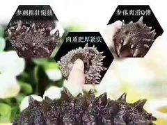 -智民小馆·佛跳墙(东岸国际店)