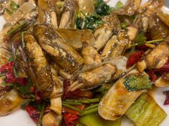 蛏子-渔家乐小海鲜(皇姑店)