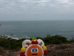 -广东惠东海龟国家级自然保护区