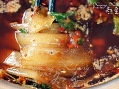 苕粉-胖大姐黄辣丁鱼庄(新津店)