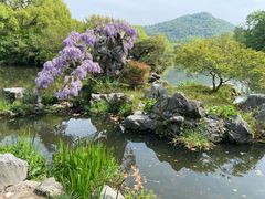 -家烧面馆【南山路知名经典面食】