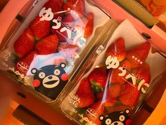 -油麻地果栏